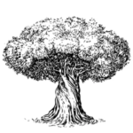 木のイラスト、自然の力の象徴