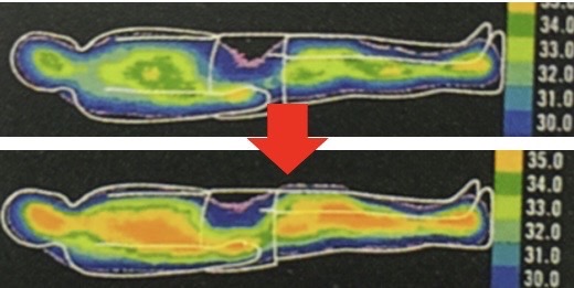 実際のサーモグラフィーの画像